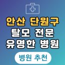 안산 단원구 탈모 전문 병원 두피 탈모관리 잘하는 곳 추천 List