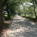 송원가든 이미지