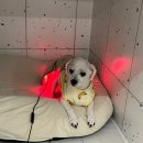 폴앤도기 동남캠퍼스 이미지