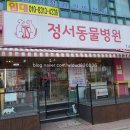 정서동물병원 이미지
