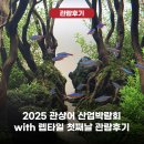 디움전시장 | 2025 관상어 산업박람회 with 렙타일 첫째날 관람후기