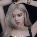 로제 카카오 검색결과