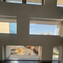 사지목나무그늘 | 그늘을 내어주던 나무야