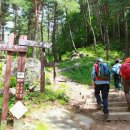 게스트 하우스 소나무 이미지