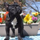 뽀빠이하우스 이미지