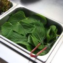 해적선생오리 이미지