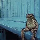 팔봉막국수 등갈비찜 이미지