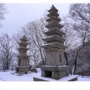 심우 이미지