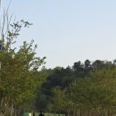 더(the)진주냉면 | (내돈내산) 진주냉면 맛집 송기원 후기, 주약동에서 찾은 30년 장인의 인생 냉면