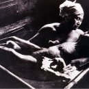 (주)성인화성공장 이미지