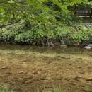 왕방리사랑채 이미지