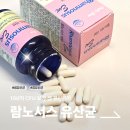 장*원 - 영덕군 | 데일리원 람노서스 이브 100억 장유산균 후기! 여성유산균 생유산균 캡슐추천