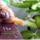 재모농장 이미지