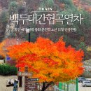 (구)철암역 | 백두대간협곡열차 할인 예약 태백 봉화 분천역 노선 11월 단풍현황