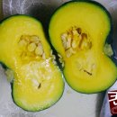 뿌리 농장 이미지
