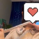 플루트(야) 이미지