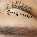 붙이고 반하다
