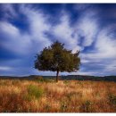 관양본신경외과의원 이미지