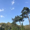 추정골휴양지 | 충북 청주 추정골휴양지 가족 단체 모임 펜션 후기