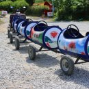 용수골목장 | 원주 양귀비 축제 지금 가야 돼요 지금!!