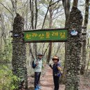 청춘-숲속의 섬, | 한라산둘레길 동백길 - 13km 완주