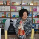 항만약국 Daum카페