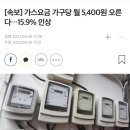 [속보] 가스요금 가구당 월 5,400원 오른다…15.9% 인상 이미지