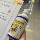 제주대학교병원 | 제주대학교병원 산부인과 | 임신당뇨검사 163으로 재검확정! 재검 받고 온 후기