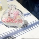 음성장애인자립생활센터 이미지