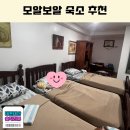 모알보알 숙소 예약시 주의사항 마리나 빌리지 패밀리룸 내돈내산 후기 거북이 와칭 위치 최고 가성비 숙소
