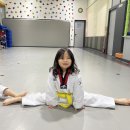 국가대표 스타클래스 태권도 이미지