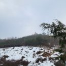 사슴자연 방목장 이미지