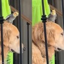 (주)펫앤펫츠 이미지