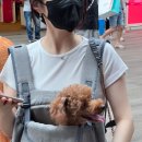 토담스펫 이미지