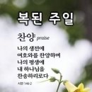 샬롬 - 유성구 엑스포로 488 | 샬롬