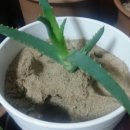 두잎식품