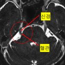 건강한뇌신경과의원 이미지