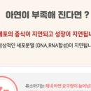 튼튼키즈 이미지