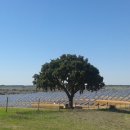 세운태양광발전소 이미지