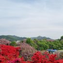 완산공원(아래) 이미지