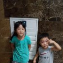 유니뜨네 네이버블로그