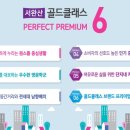 골드환경 이미지