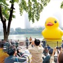 석촌호수로 이미지