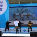 디아이피(주)