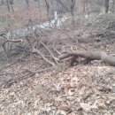 비산3동-1 이미지