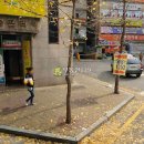 산현로 17번길 Daum카페