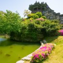 수원-0072 Daum카페