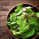 삼봉농장 이미지