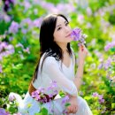 향기4로,향기5로 이미지