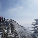 1월15일 일요당일 - 백두대간 남덕유산 + 할미봉 서봉 설경산행 안내 - 신청하기 이미지